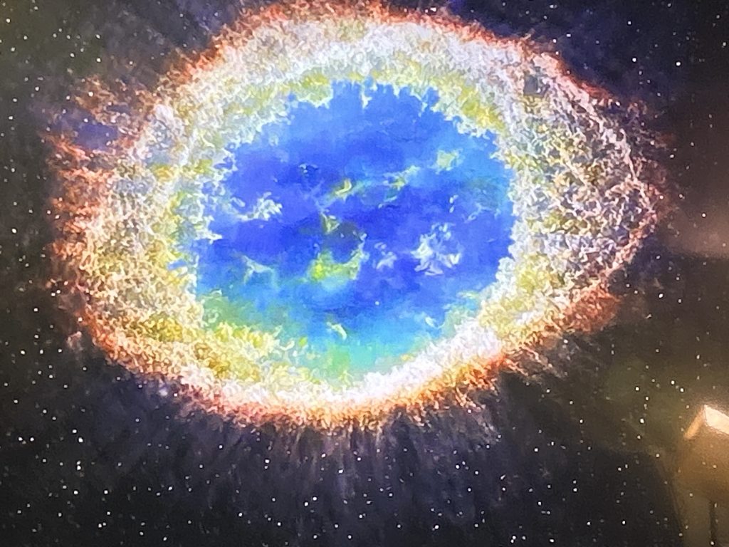 Bunny’s Flowers brand artwork